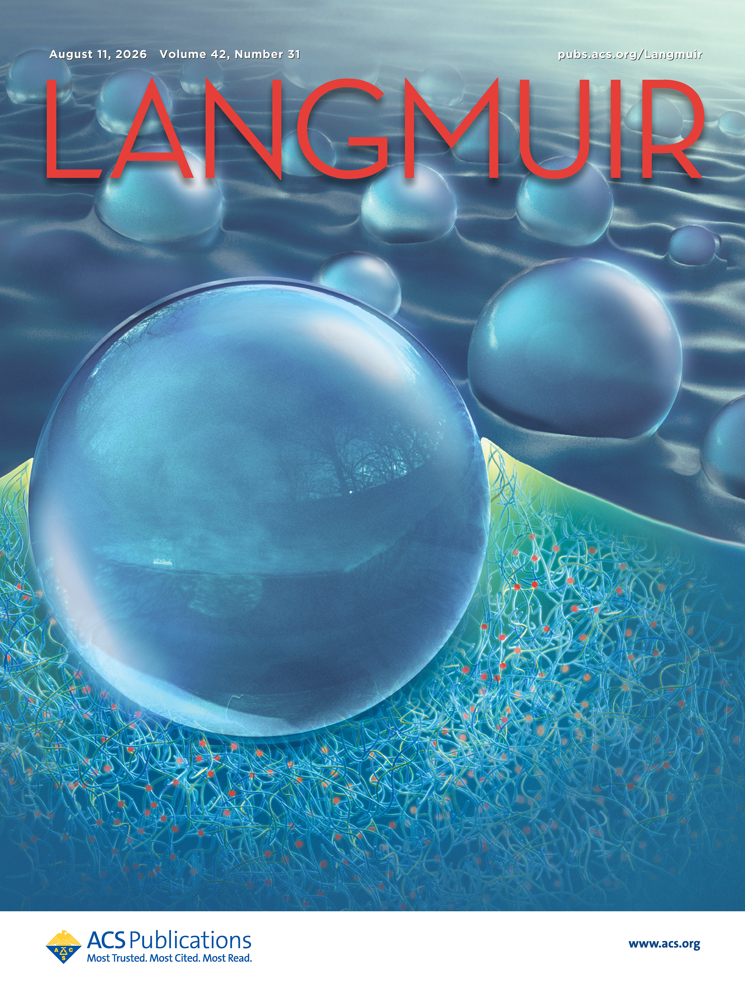 Langmuir journal cover for the first publication