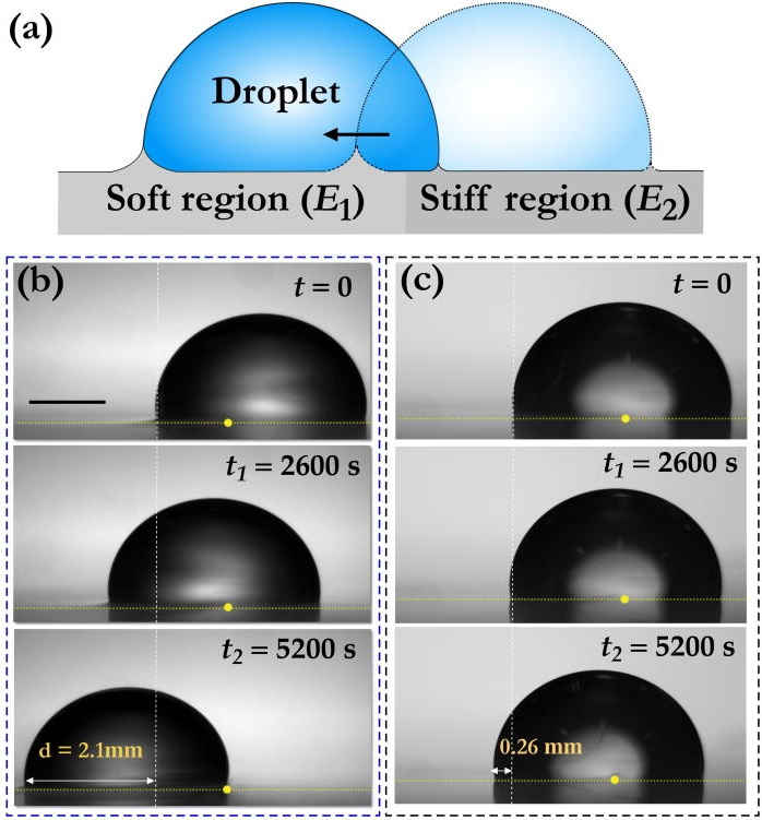 Droplet motion on a soft stiffness-gradient surface