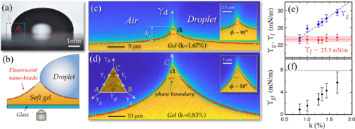Experimental and schematic views of a droplet on a soft gel, showing wetting-induced phase separation.